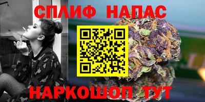 PSILOCYBIN Кингисепп