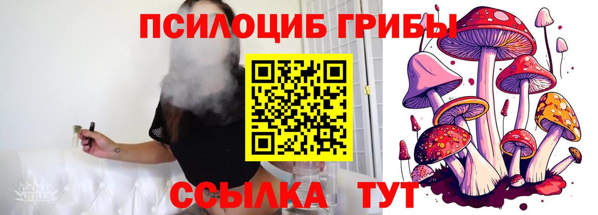 Псилоцибиновые грибы Magic Shrooms Краснознаменск